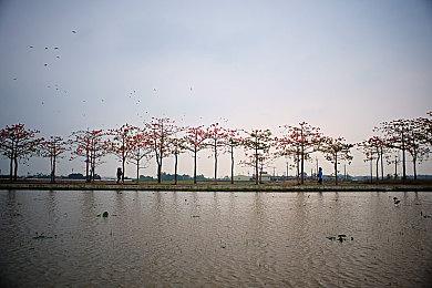 《克苏鲁守护者》开启测试 旧神背景即时战术